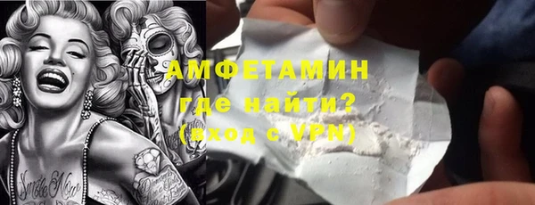 амф Верхний Тагил