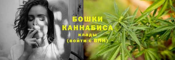 2c-b Горно-Алтайск