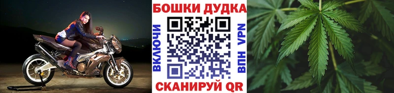 Конопля Amnesia  закладка  Иланский 